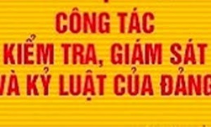 Quy định của Bộ Chính trị về chế độ kiểm tra, giám sát công tác cán bộ